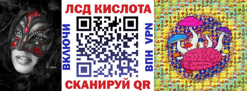 где купить   Кировск  KRAKEN маркетплейс  Марки NBOMe 1500мкг 